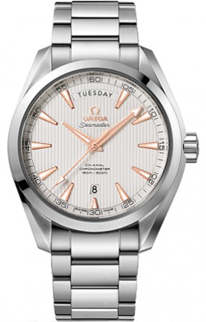 Omega Seamaster Aqua Terra 231.10.42.22. 02.001