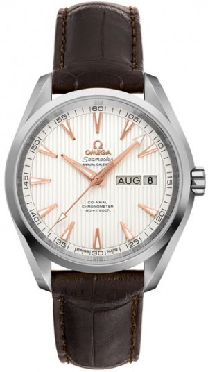 Montre masculine Omega Seamaster Aqua Terra 231.13.39.22.02.001