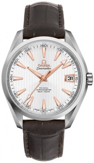 Omega Seamaster Aqua Terra 41,5mm Hommes Montre 231.13.42.21.02.002