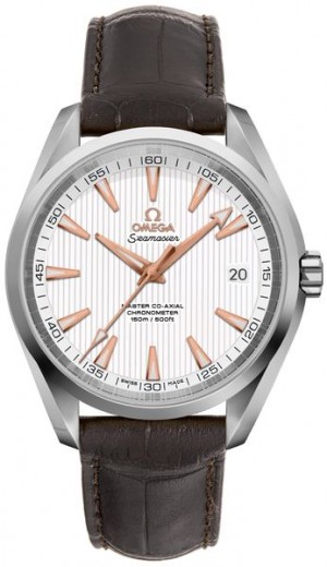 Omega Seamaster Aqua Terra Automatic pour hommes Montre 231.13.42.21.02.003