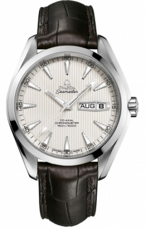 Omega Seamaster Aqua Terra 231.13.43.22. 02.001