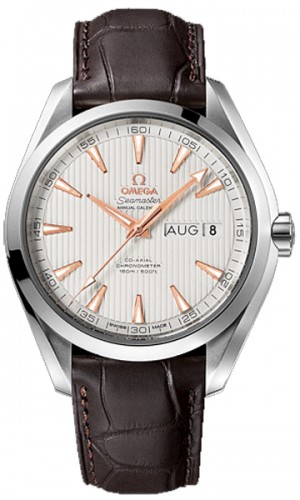 Omega Seamaster Aqua Terra 231.13.43.22. 02.003