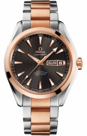 Omega Seamaster Aqua Terra 231.20.43.22. 06.001