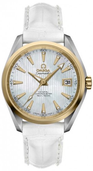 Omega Seamaster Aqua Terra 231.23.39.21. 55.002