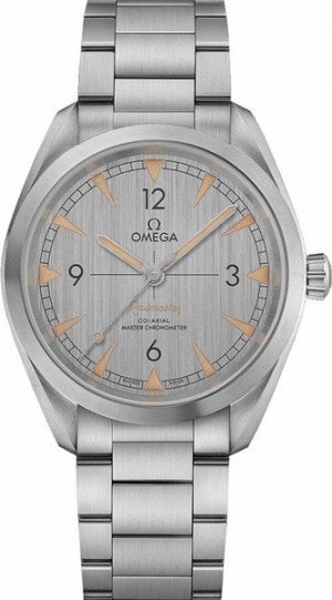 Montre Omega Seamaster Railmaster 40mm pour hommes 220.10.40.20.06.001
