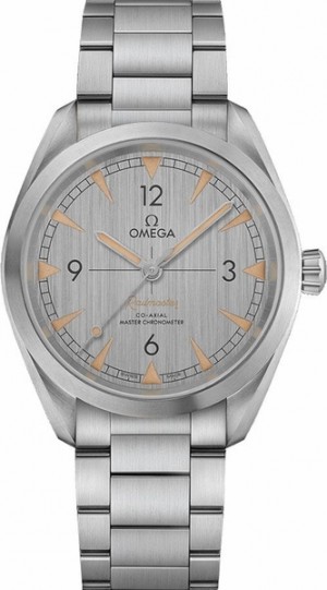 Montre Omega Seamaster Railmaster 40mm pour hommes 220.10.40.20.06.001