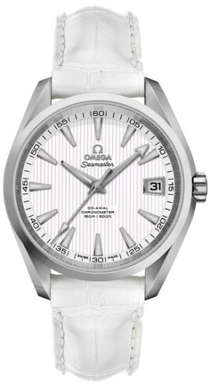 Omega Seamaster Aqua Terra Chronometer Montre pour homme à cadran argenté 231.10.39.21.02.001