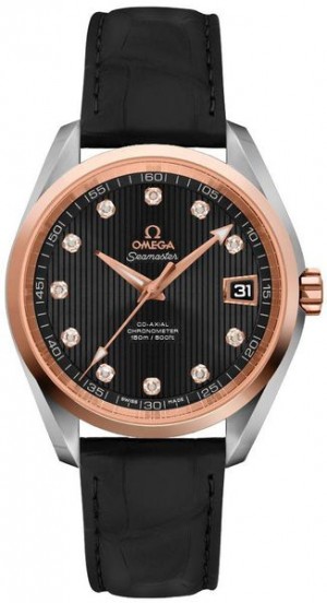 Montre pour homme Omega Seamaster Aqua Terra Diamonds 231.20.39.21.51.003